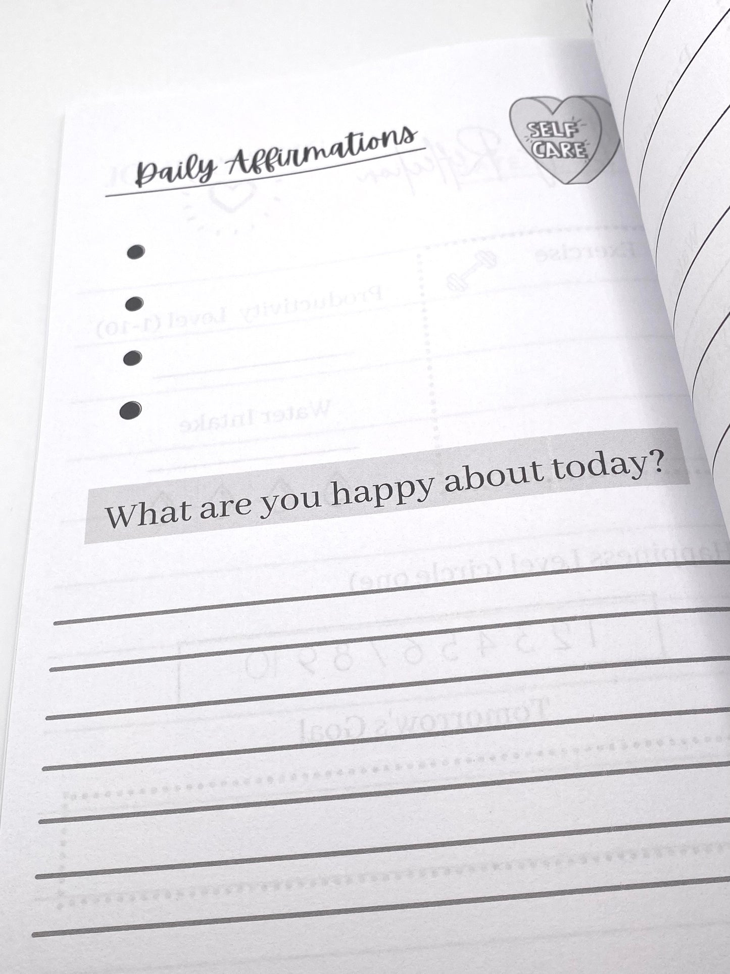 Daily Journal with Affirmations